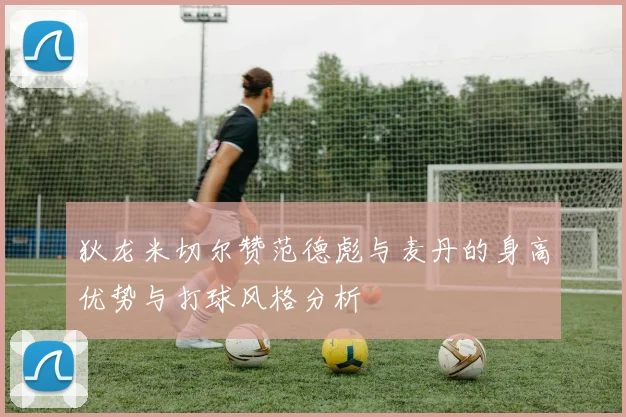 狄龙米切尔赞范德彪与麦丹的身高优势与打球风格分析