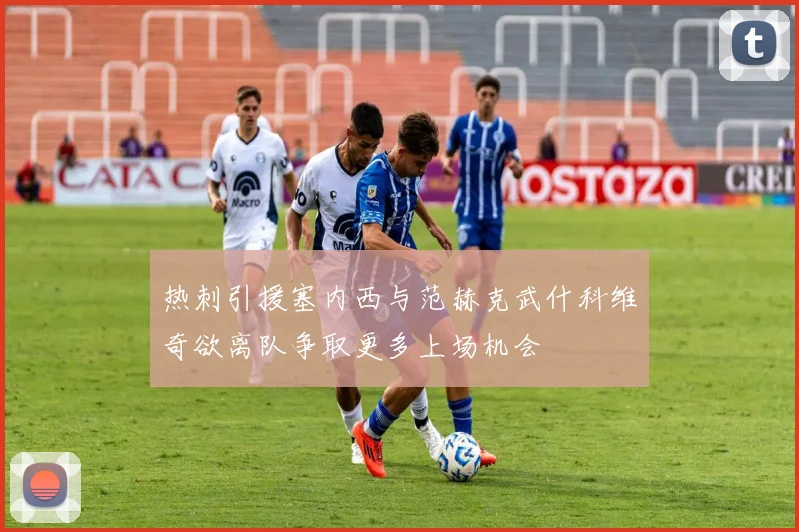 热刺引援塞内西与范赫克武什科维奇欲离队争取更多上场机会